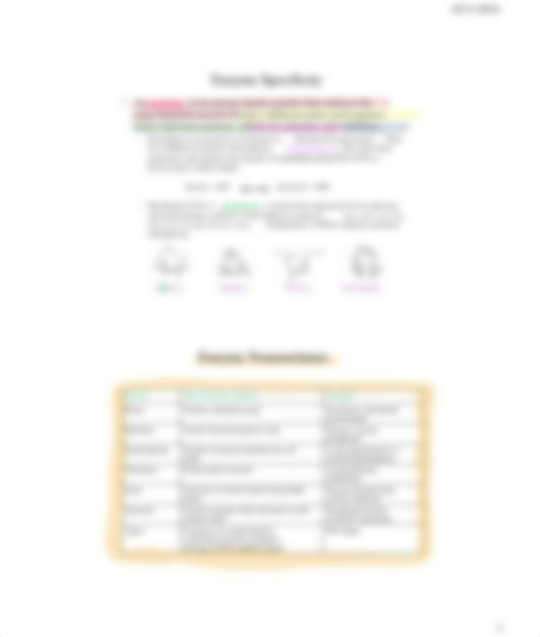 Unit #4 - Enzymes and Carbohydrates NOTES.pdf_d7012klzxjk_page3