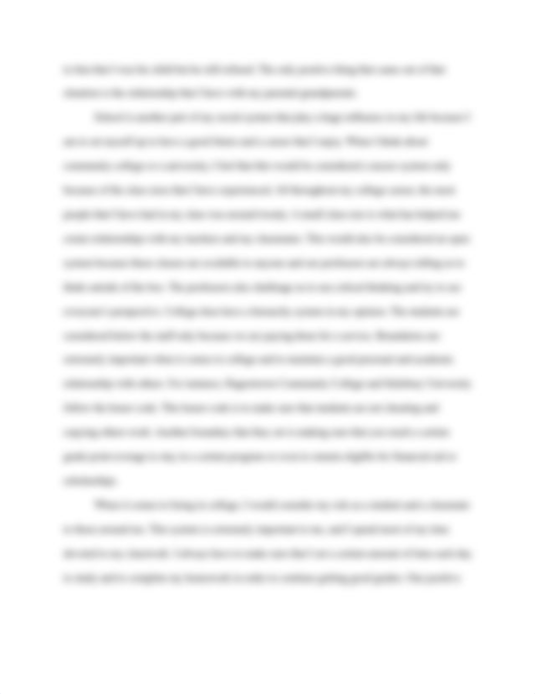 Social Systems Paper.docx_d7084kukigg_page3