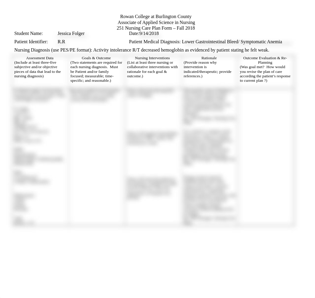 NUR 251 Patient Care Plan Template Fall 2018 .doc_d70bylkrv79_page1