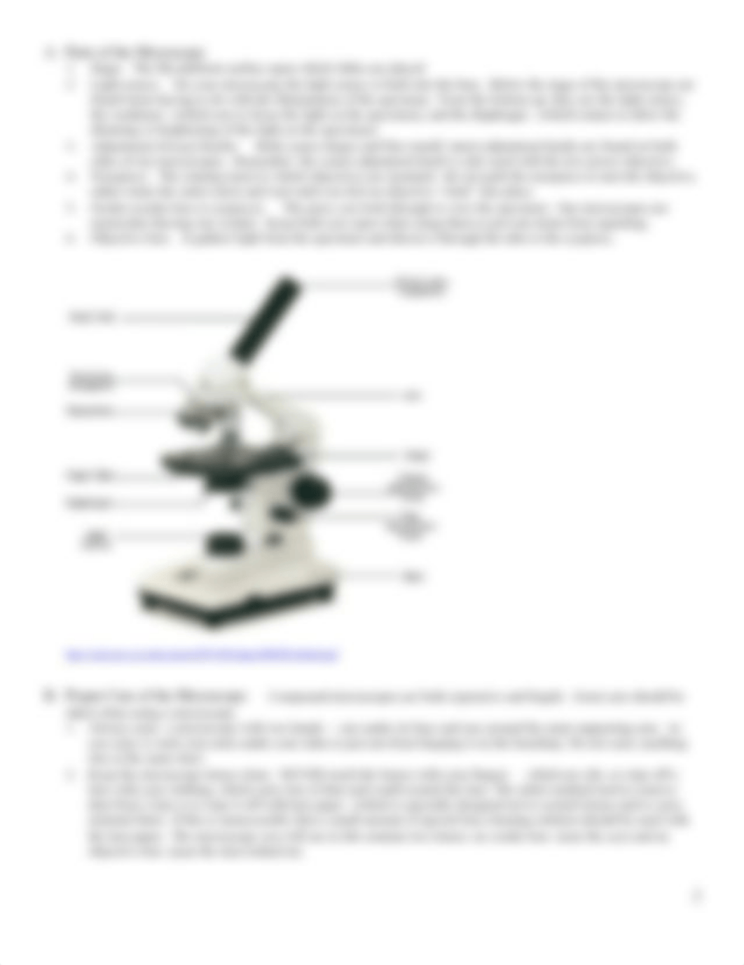 Microscopy & Cells.on-campus (1).doc_d70cazfcoq4_page2