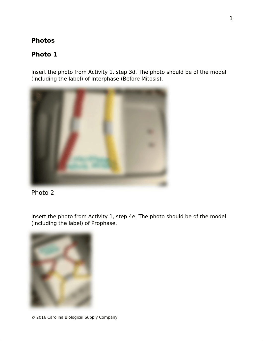 Mitosis and Meiosis Answer Sheet.docx_d70g6b8hv8k_page2