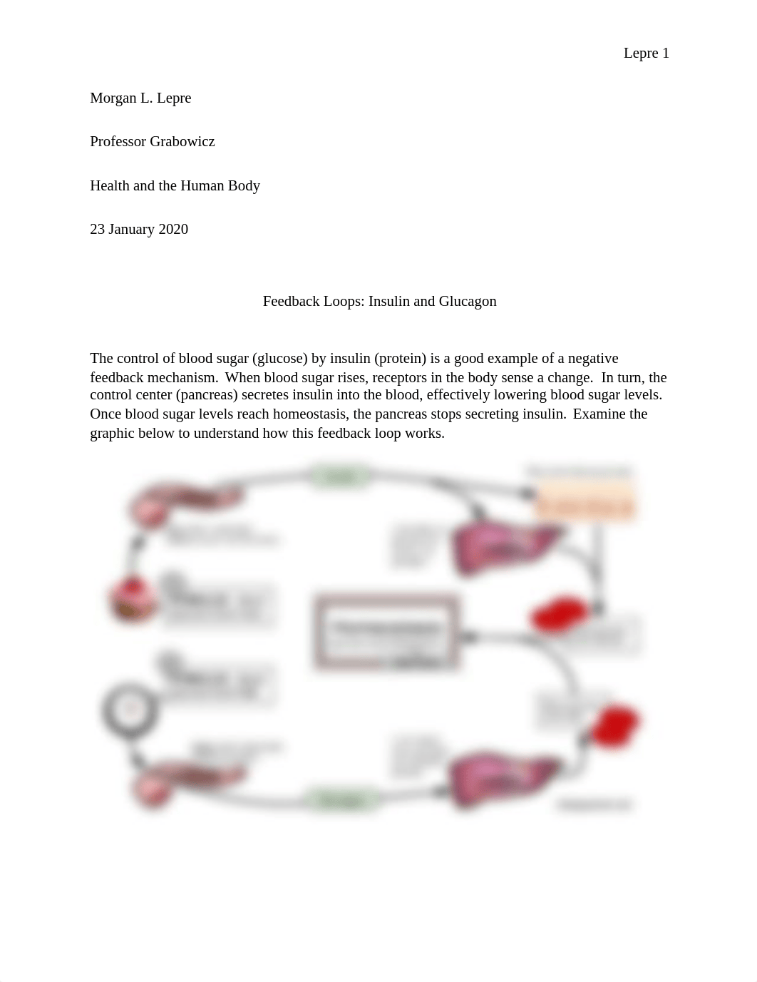 Feedback Loops_Insulin and Glucagon.docx_d70iw76l5l8_page1