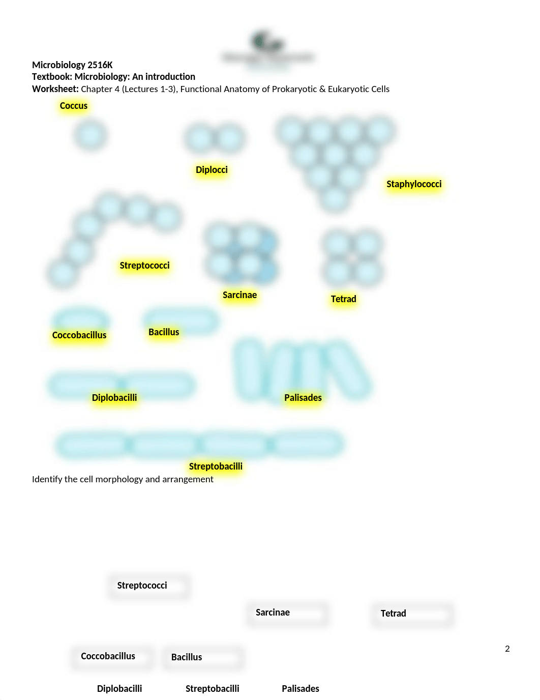 worksheet answer 4.docx_d70owpgg1h3_page2