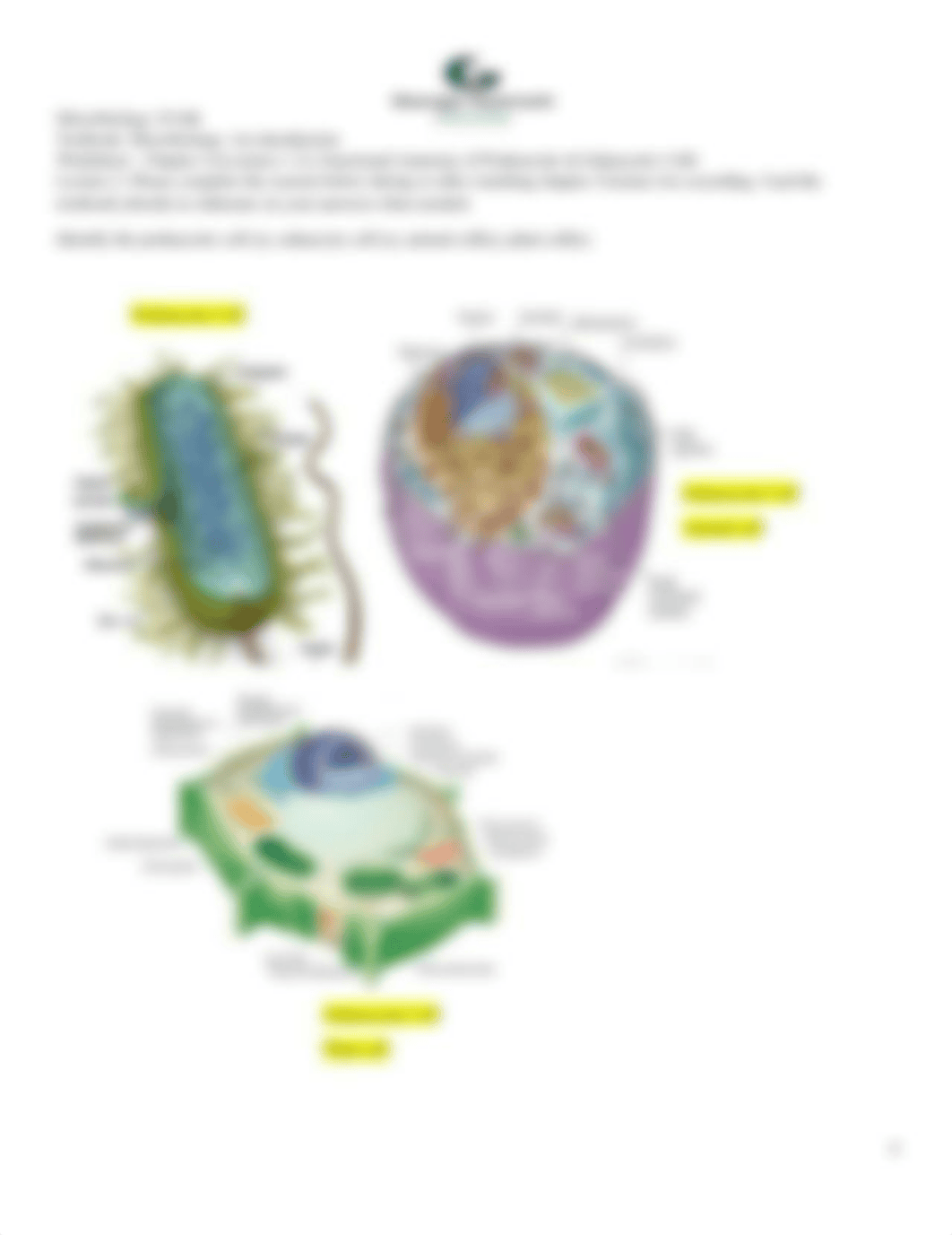 worksheet answer 4.docx_d70owpgg1h3_page4