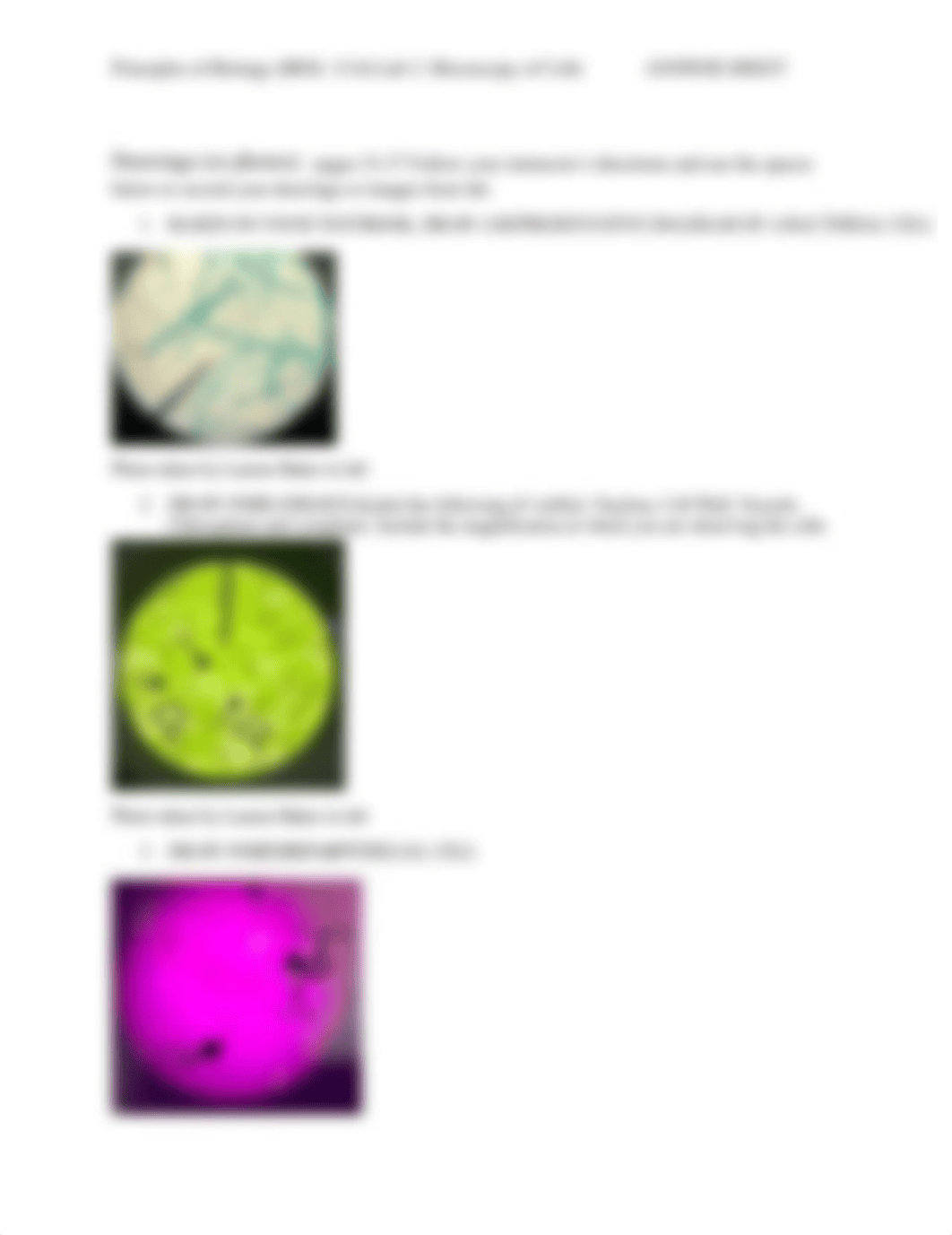 Lab 2 Microscopy of cell ANSWER SHEET .pdf_d70qag0o8zr_page2