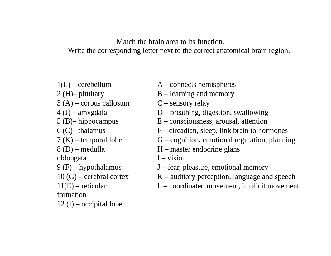 4.6 Brain Anatomy Match Up.docx_d70sao64wr2_page1