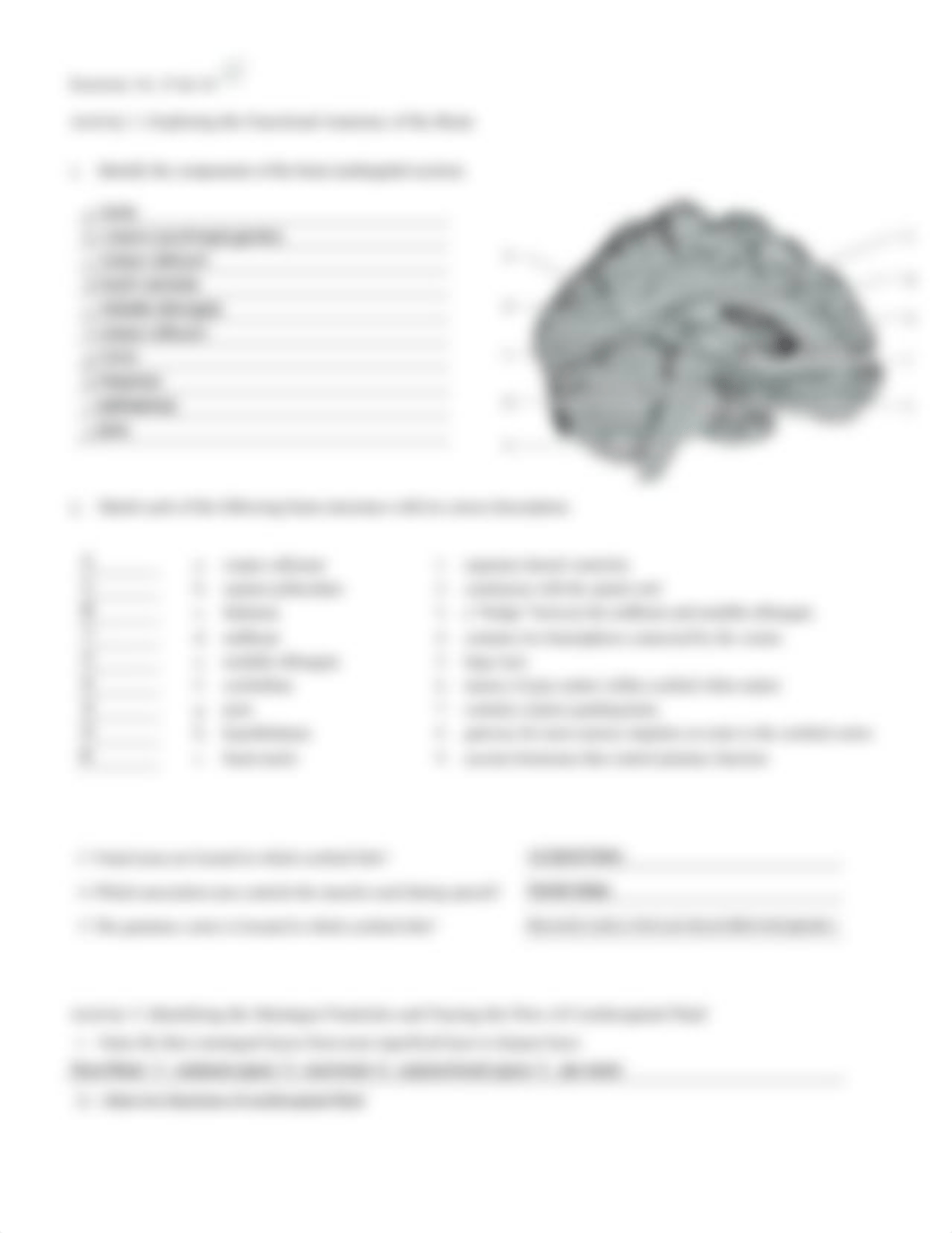 8. Unit 8 laboratory exercise 14 and 15 nd 16 EDIT_d70tlrt23c6_page3