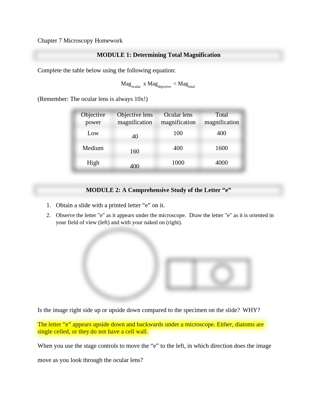 Chapter 7 Microscopy Homework.docx_d70v6kpq3g9_page1