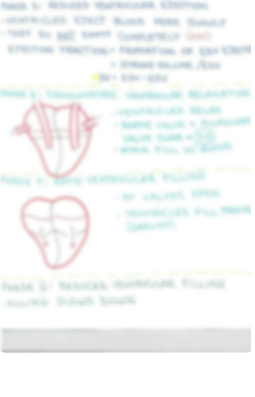 Physio 1 - Exam 2 - Review -Cardiac Cycle and Stroke Volume.pdf_d70zeo5jx7p_page3