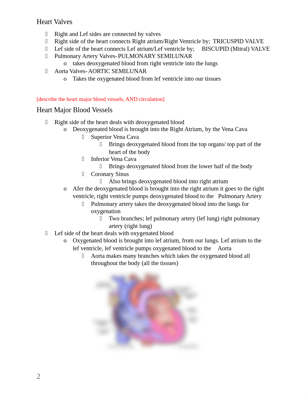 CVS Physiology Week 9.docx_d71dakui0de_page2