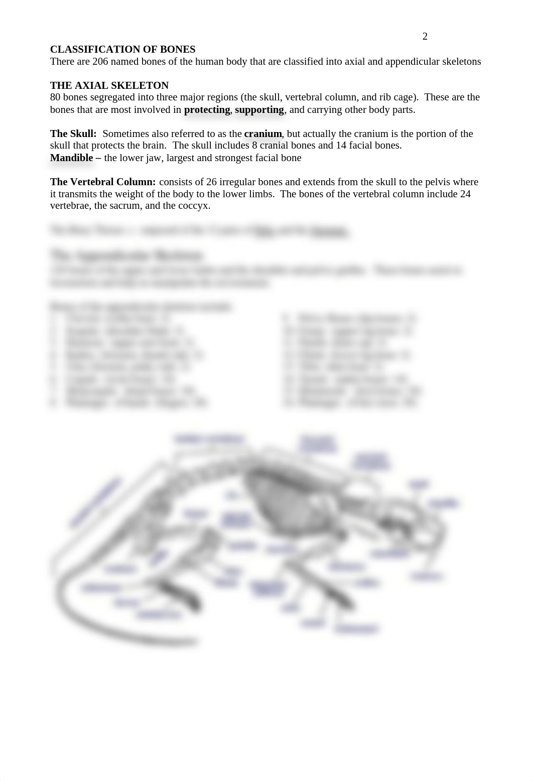 Skeletal_System_Study_Guide.pdf_d71degghcb4_page2