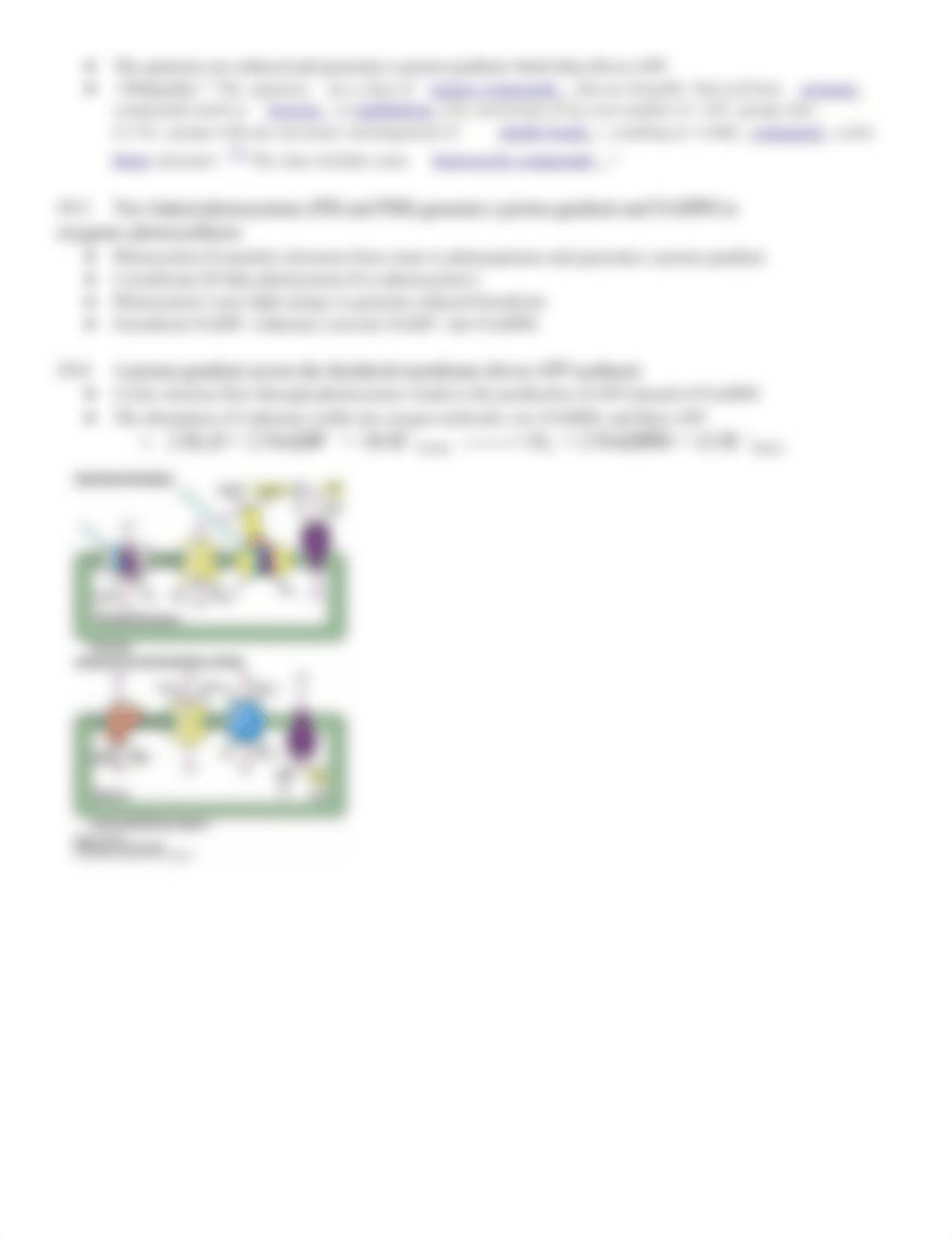 Biochem Ch 19: The light reactions of photosynthesis_d71iqyw875w_page2