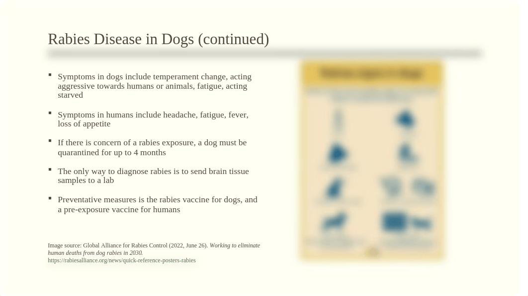 Vet224 research project powerpoint.pptx_d71iskzfl30_page3