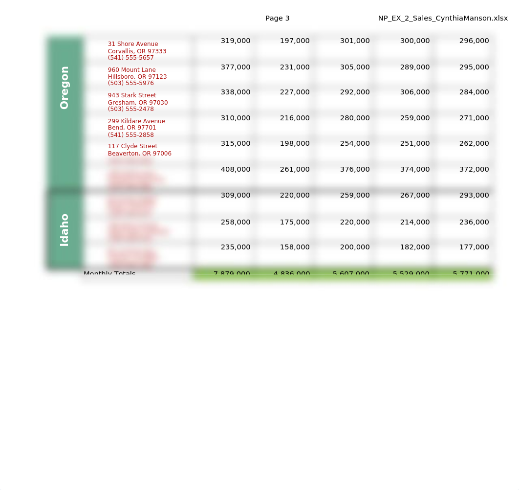 NP_EX_2_Sales_CynthiaManson.xlsx_d71v285utnf_page3