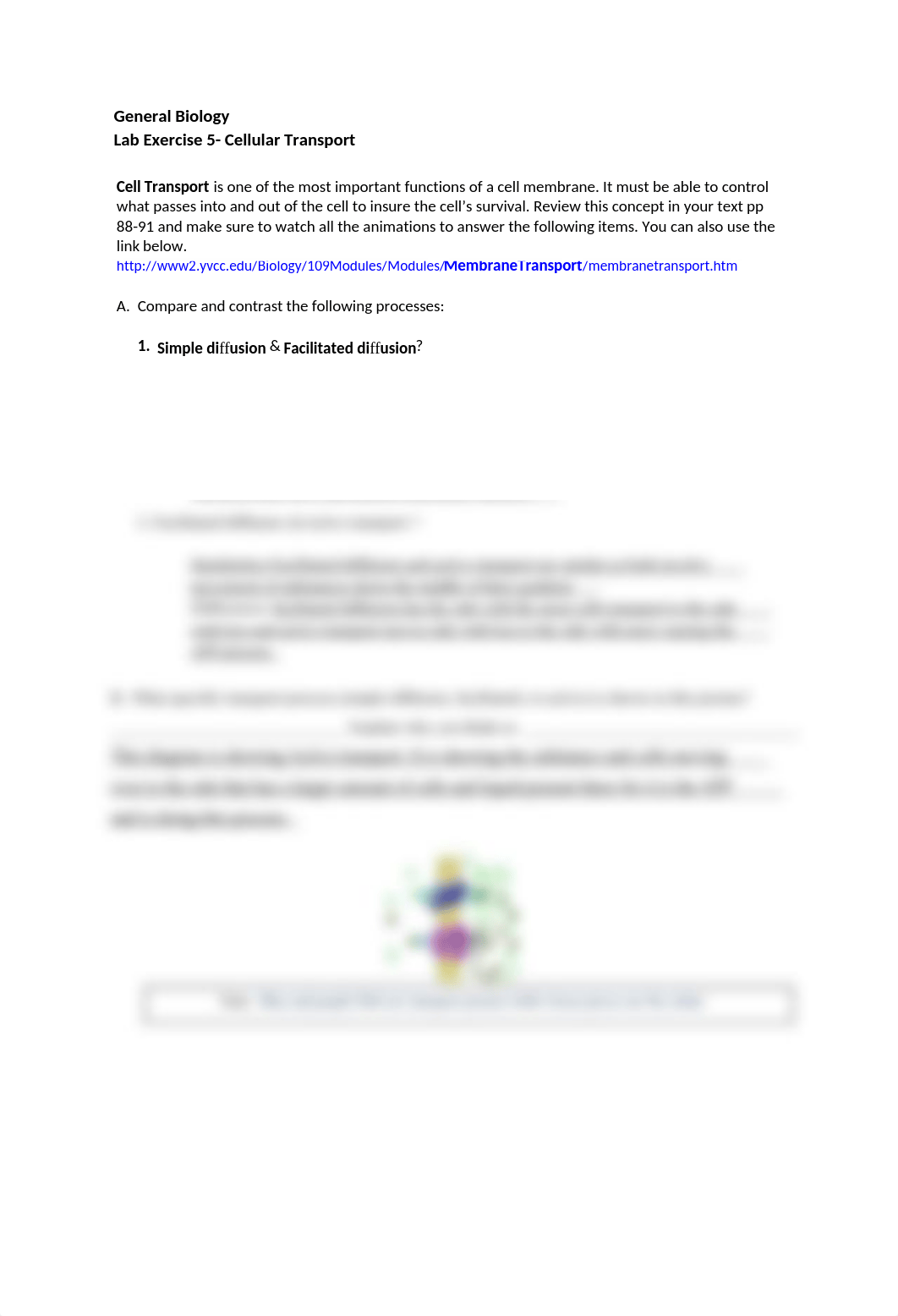 Lab 5- Cell Transport.docx_d726xslhpa4_page1