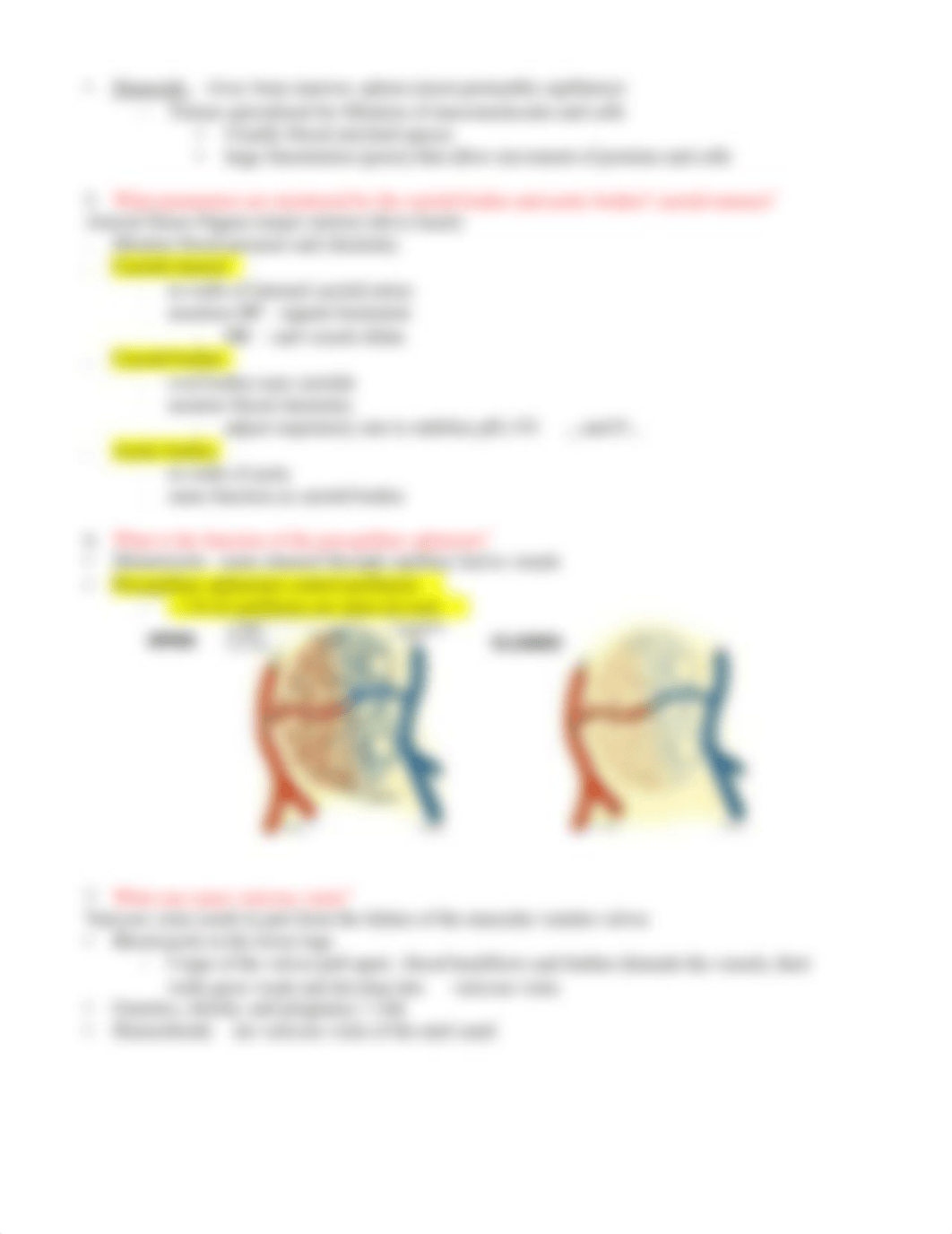 Chapter_20_Review_Guide.doc_d72c990gyu6_page3