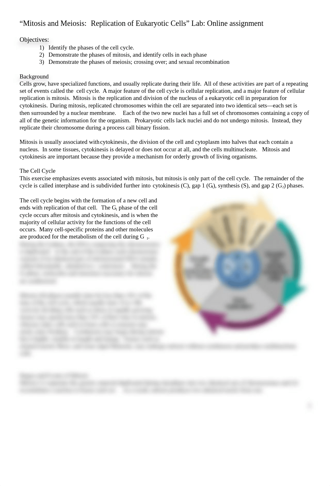 Mitosis and Meiosis  Lab.docx_d72gvew7jrc_page1