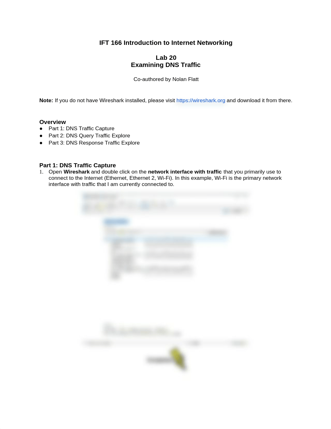 Lab 20 (Examining DNS Traffic).docx_d72i1o3e9s7_page1