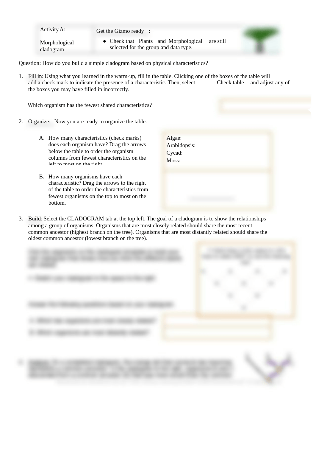 Cladograms.docx_d72jb4rpjd5_page2