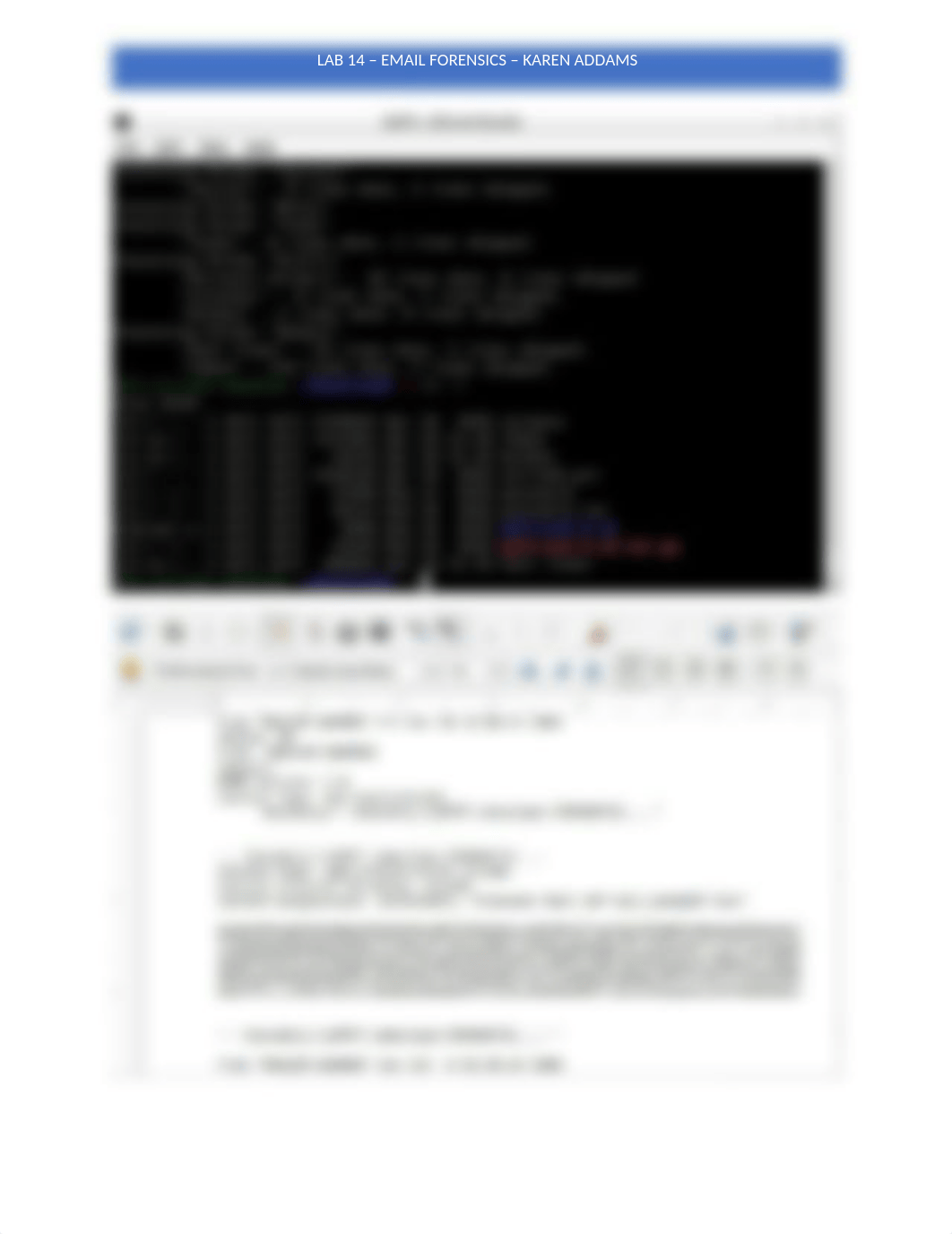 Lan 14 - Email Forensics - Screen Shots.docx_d72ltz6sguq_page2