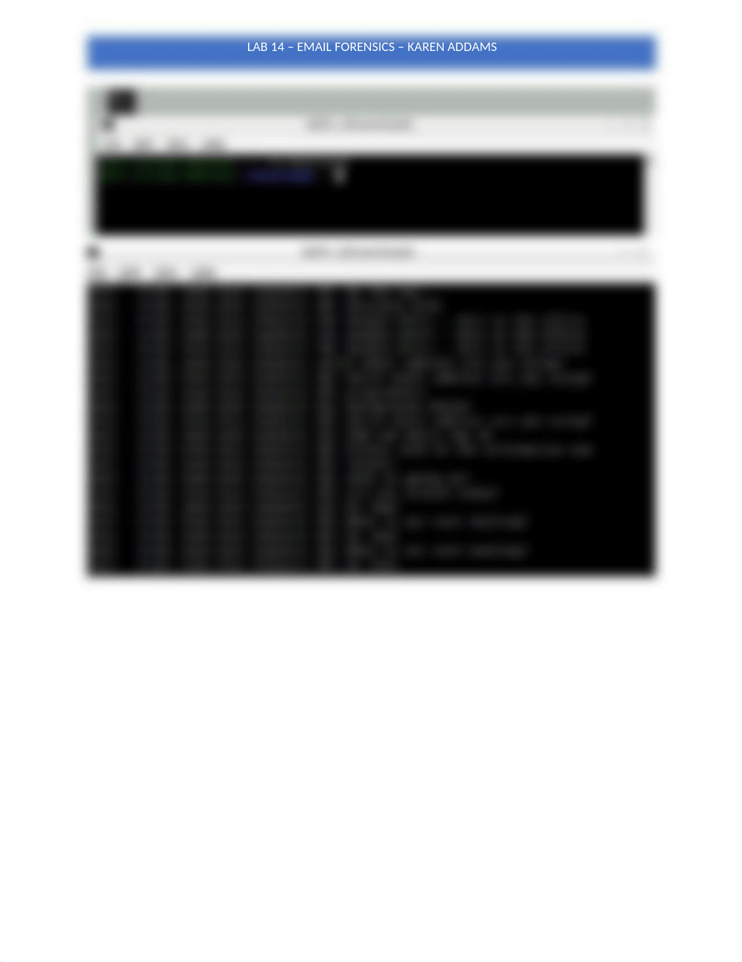 Lan 14 - Email Forensics - Screen Shots.docx_d72ltz6sguq_page1