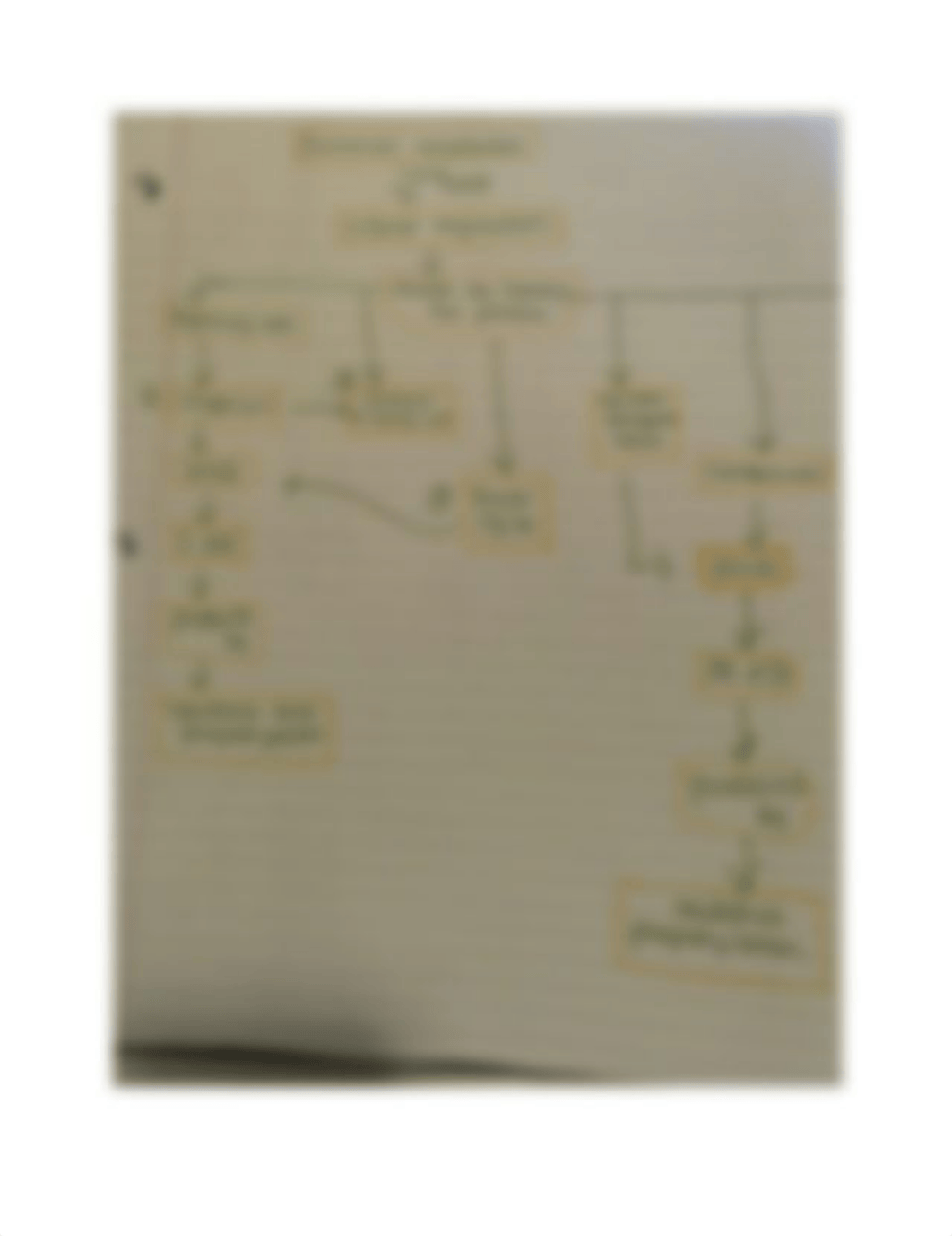 bacterial metabolism concept map.pdf_d72ouqjqkkd_page1