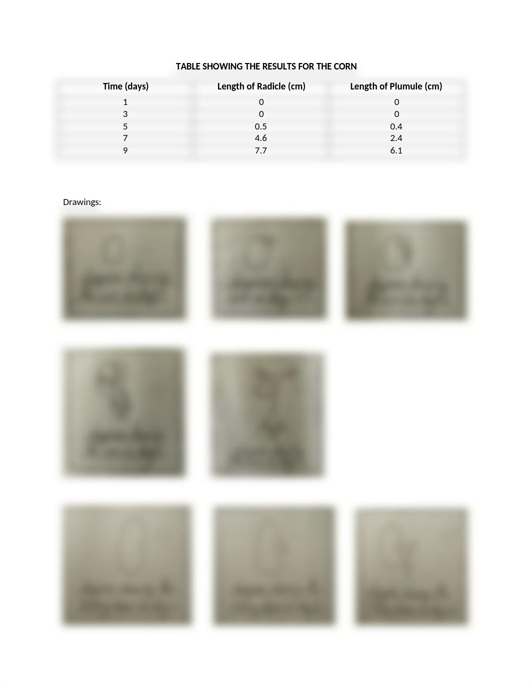 GERMINATION LAB.docx_d72ow1hc280_page2