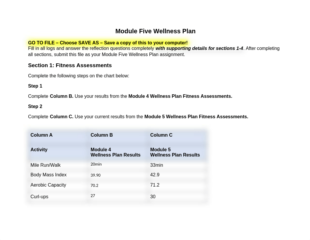 05.07 Module Five Wellness Plan.doc_d72qry9116c_page1