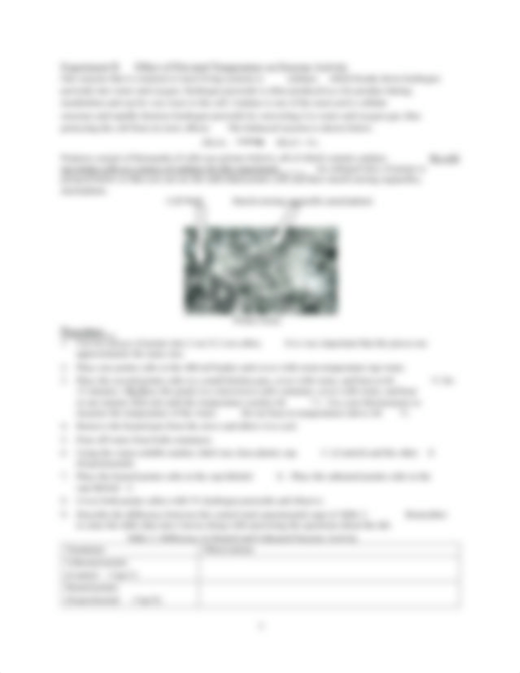 Lab 5 - Enzymes.pdf_d72th64ax0u_page3