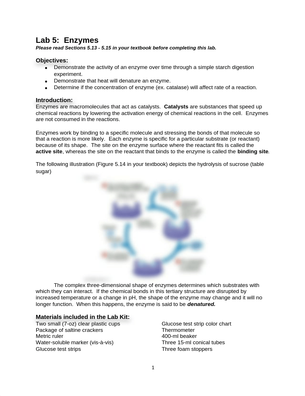 Lab 5 - Enzymes.pdf_d72th64ax0u_page1