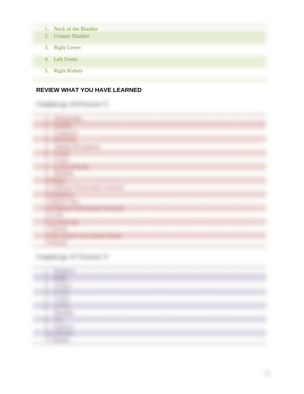 ASSN 13.2 URINARY GROSS ANATOMY AND REVIEW KEY.docx_d72ue5s5phz_page2