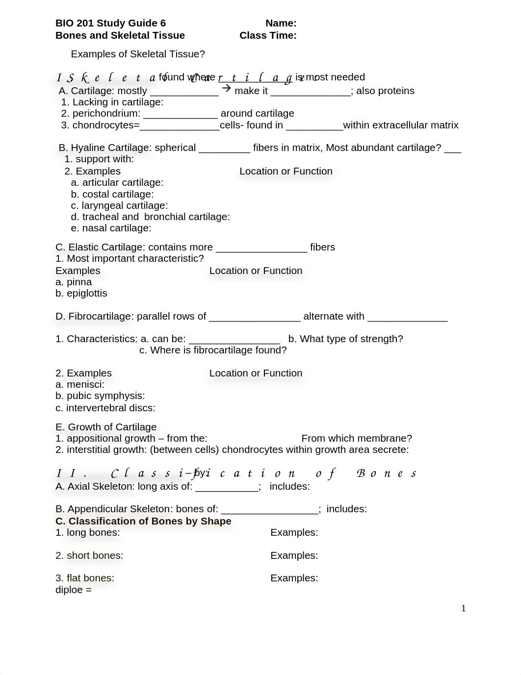 SG BIO201 CH 6 Bones.doc_d72wnfwplct_page1