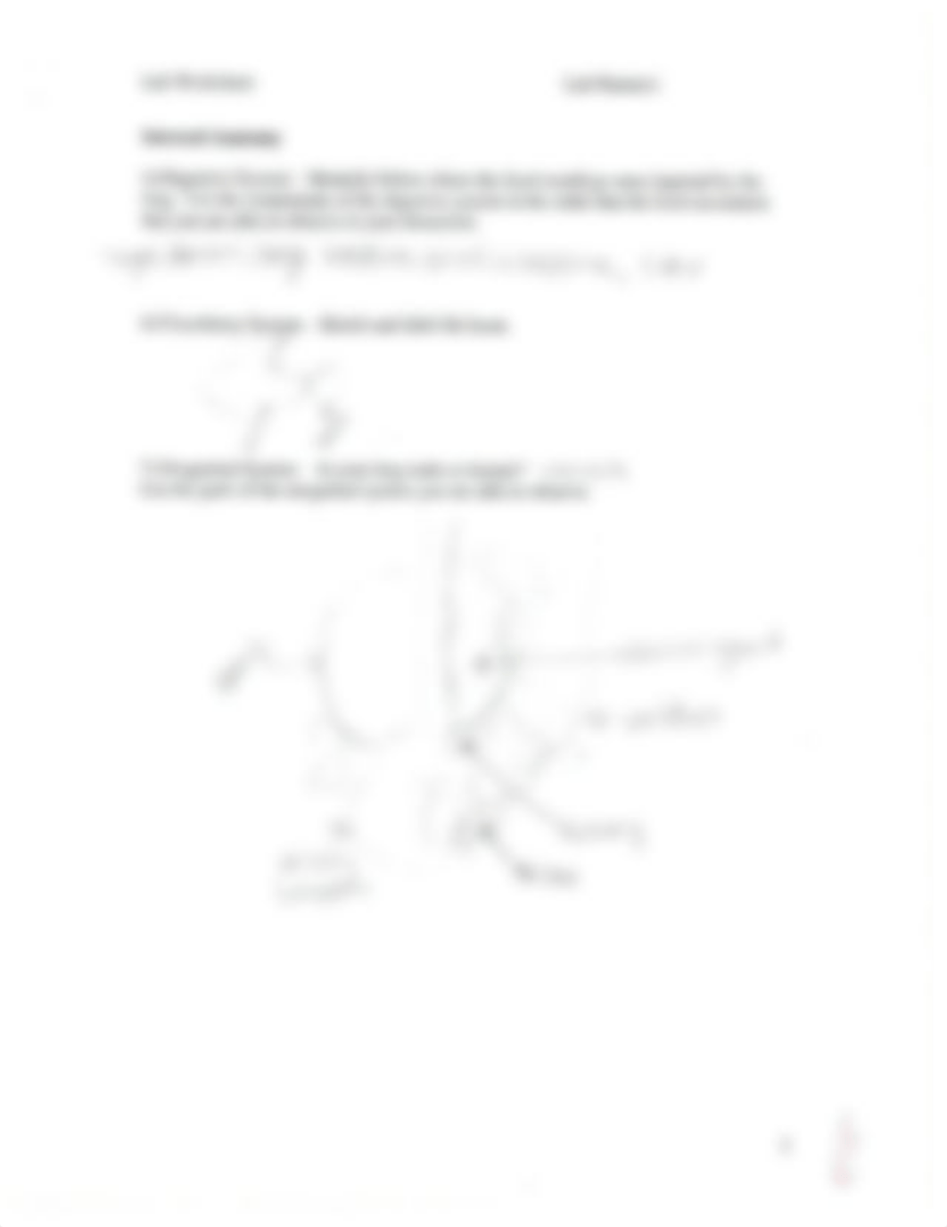 Frog and Grasshopper Dissection Worksheet_d73117p79i9_page2