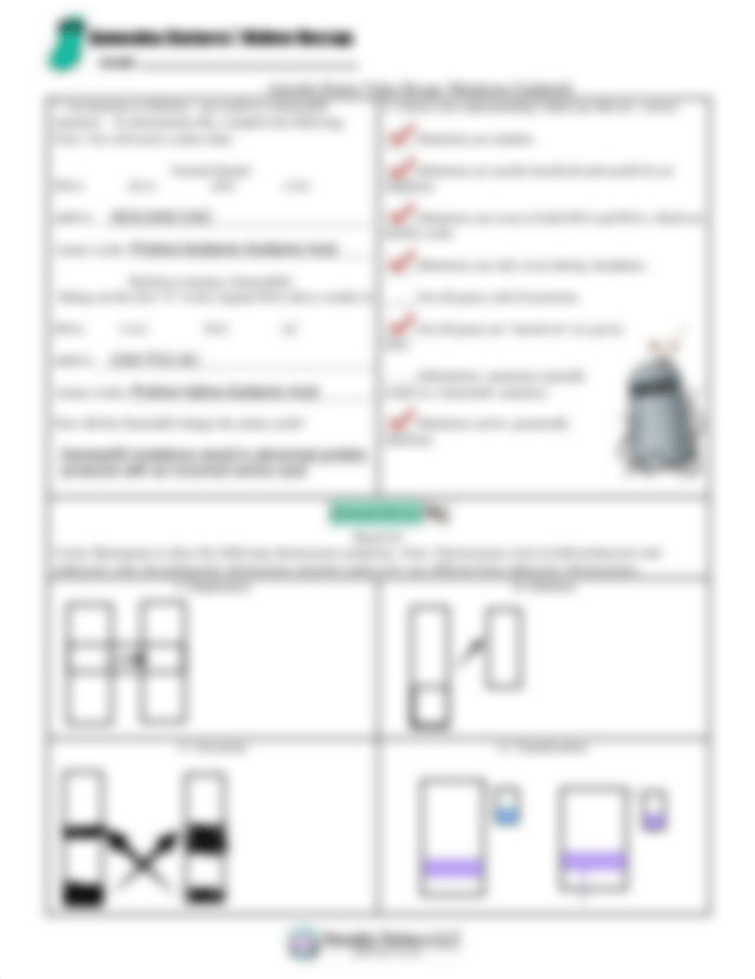 mutations_updated_recap_by_amoeba_sisters (2).pdf_d735fbbo7gx_page2