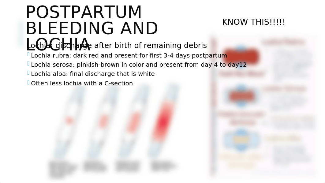 VNSG 1230 Unit 5 Postpartum Lecture.pptx_d73c9v0r070_page4