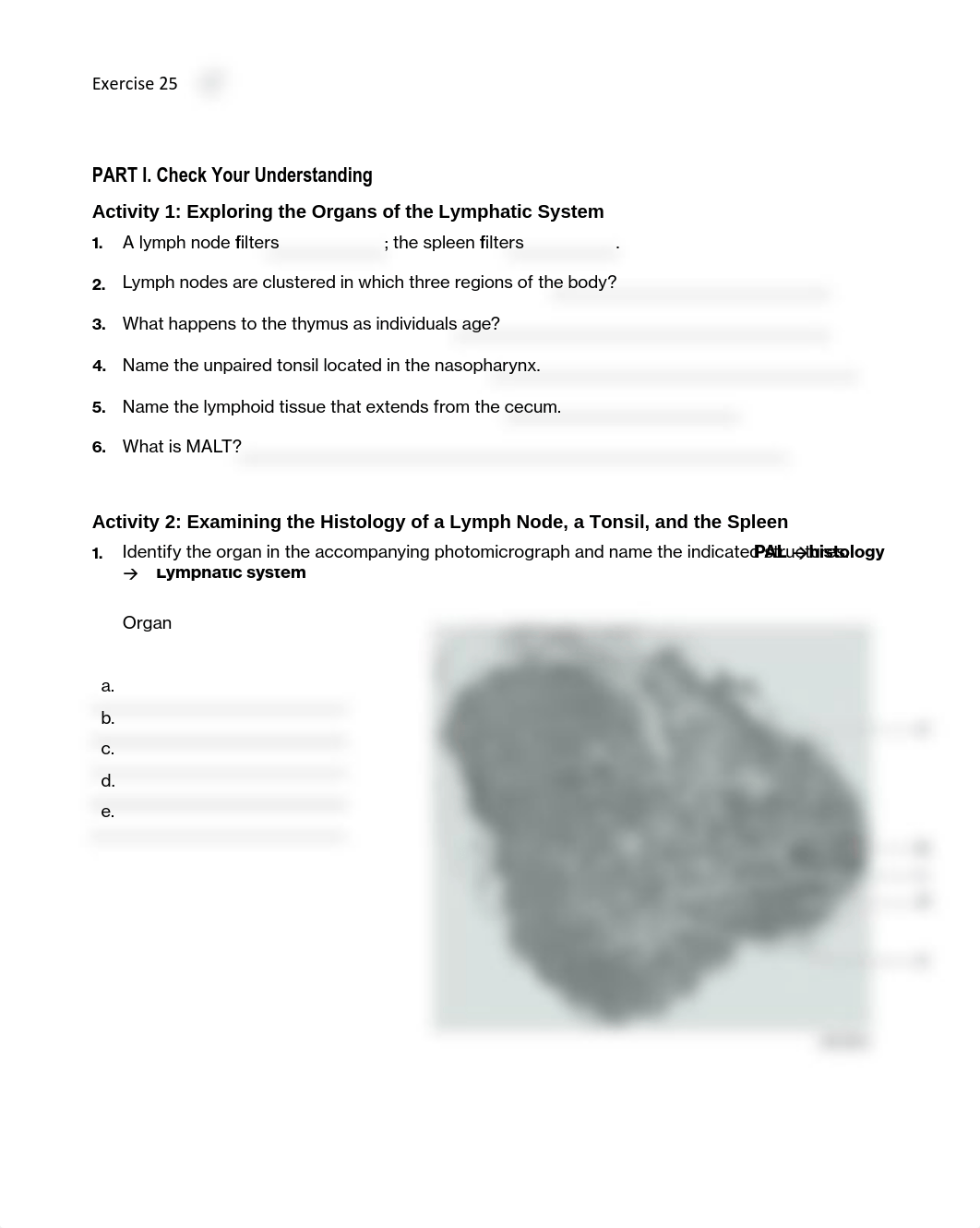 11. Unit 11 laboratory exercise 25 EDIT.pdf_d73h4aykdyo_page1