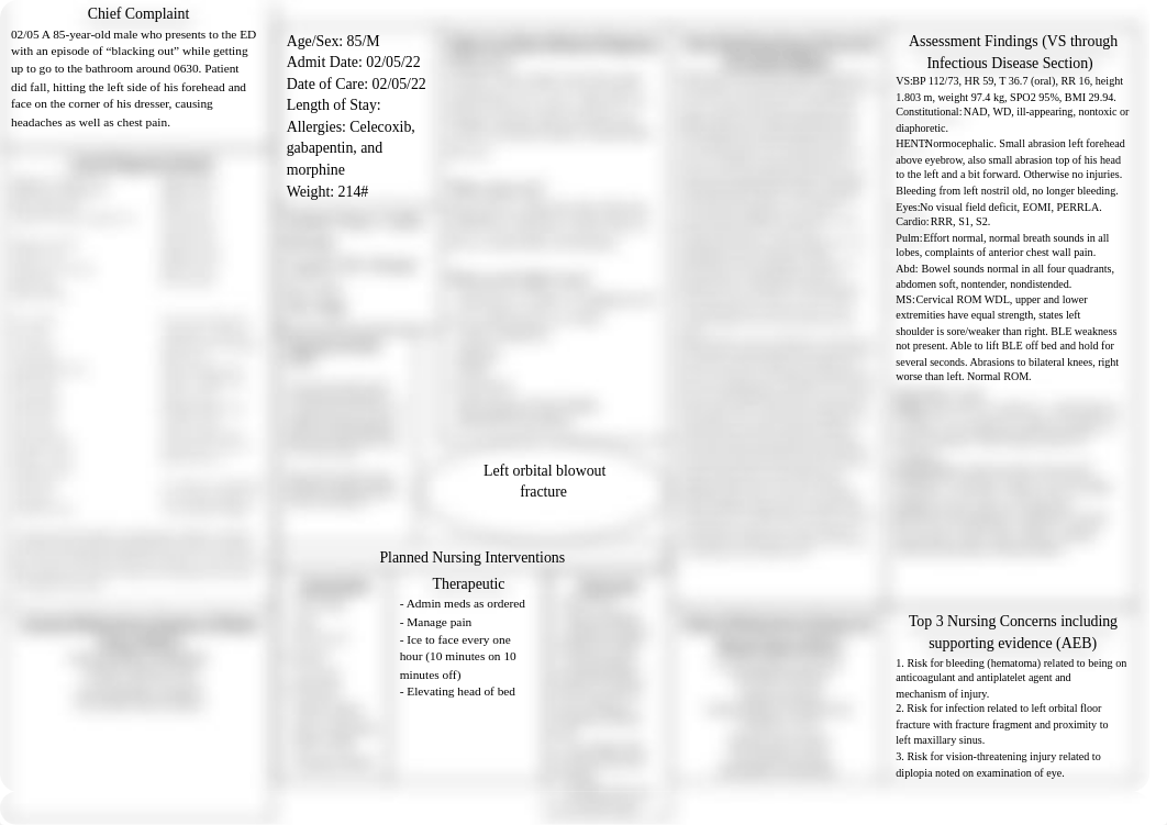 Riordan Concept Map N424.docx_d73hobkx413_page1