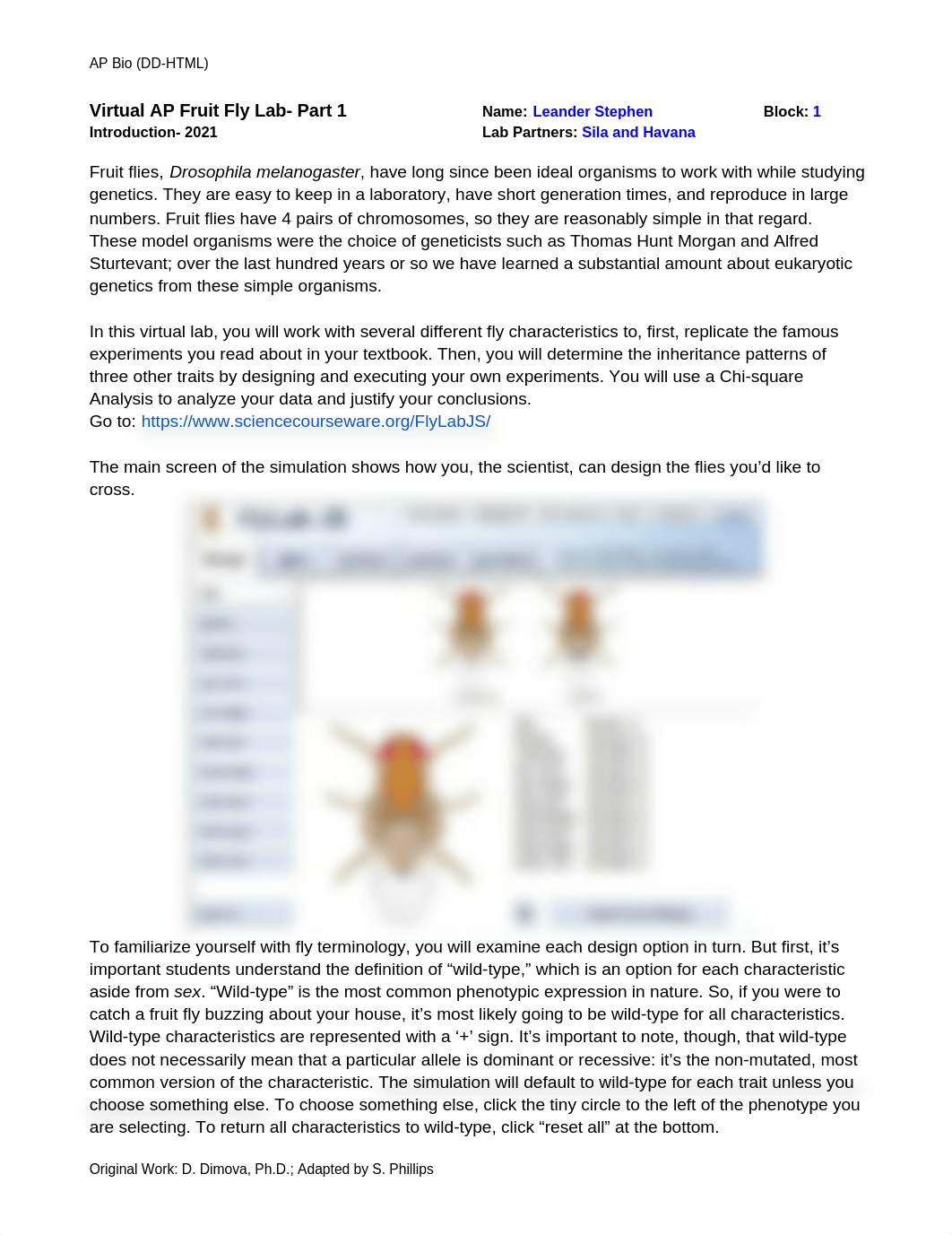 Leander Stephen - Virtual Fruit Fly Lab Introduction- 2021- Pt 1.docx_d73mqk3l7e1_page1