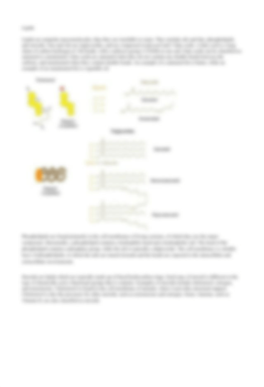 Biological Molecules Lab.pdf_d73q3dj546e_page2