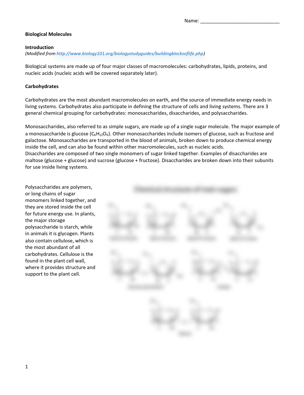 Biological Molecules Lab.pdf_d73q3dj546e_page1