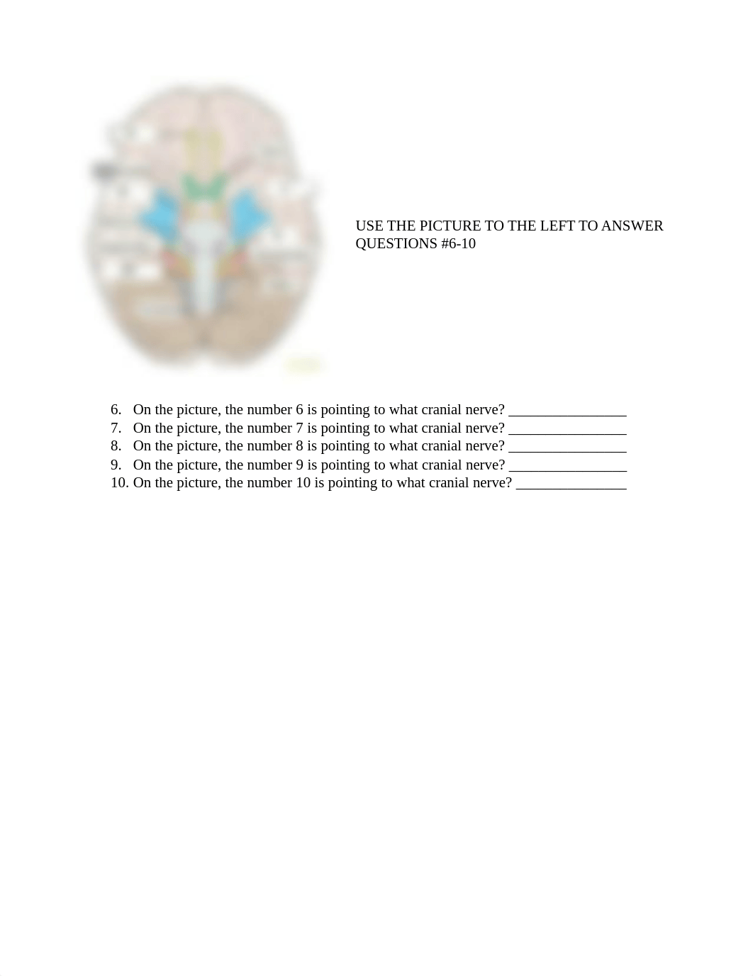 Lab Quiz 11_d73t1eg99uo_page2