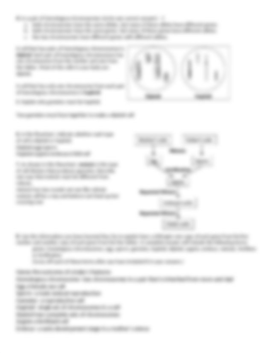 Applied Learning Meiosis.docx_d73tveephtk_page2