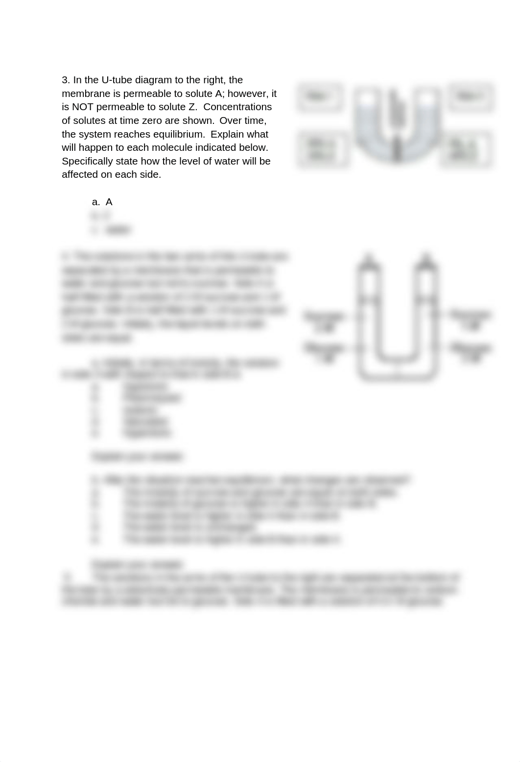 Copy of AP20-21 Diffusion and Osmosis Problems rev Wagner.docx_d73wabxholx_page2