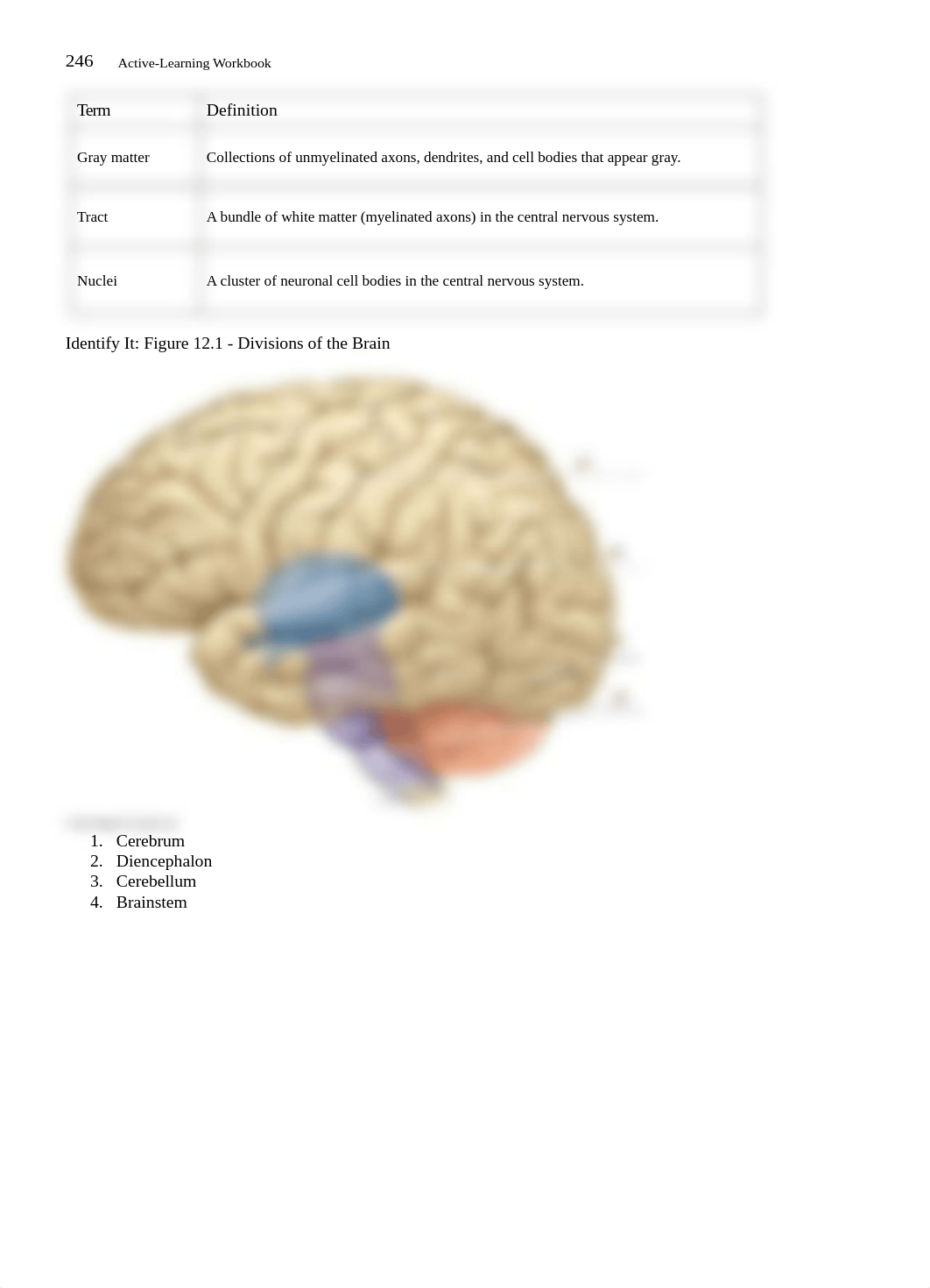 BIO 212 - ANS&PNS 10 Point Activity(1).docx_d73zfsce9vv_page2