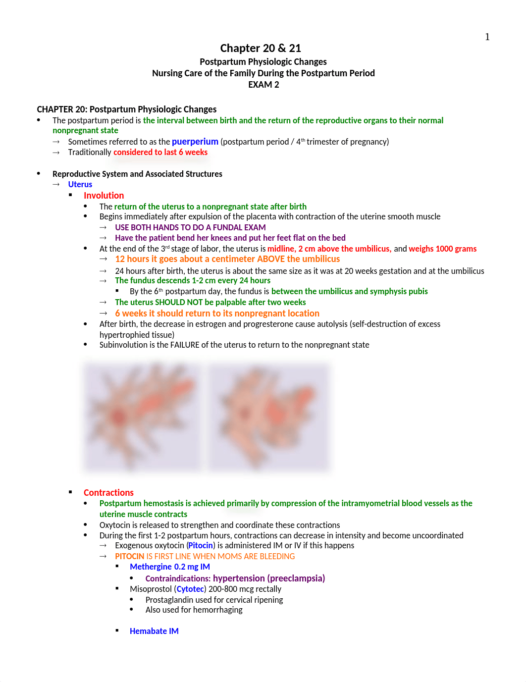 Chapter 20 and 21 Postpartum Care.docx_d740mz3ycwa_page1