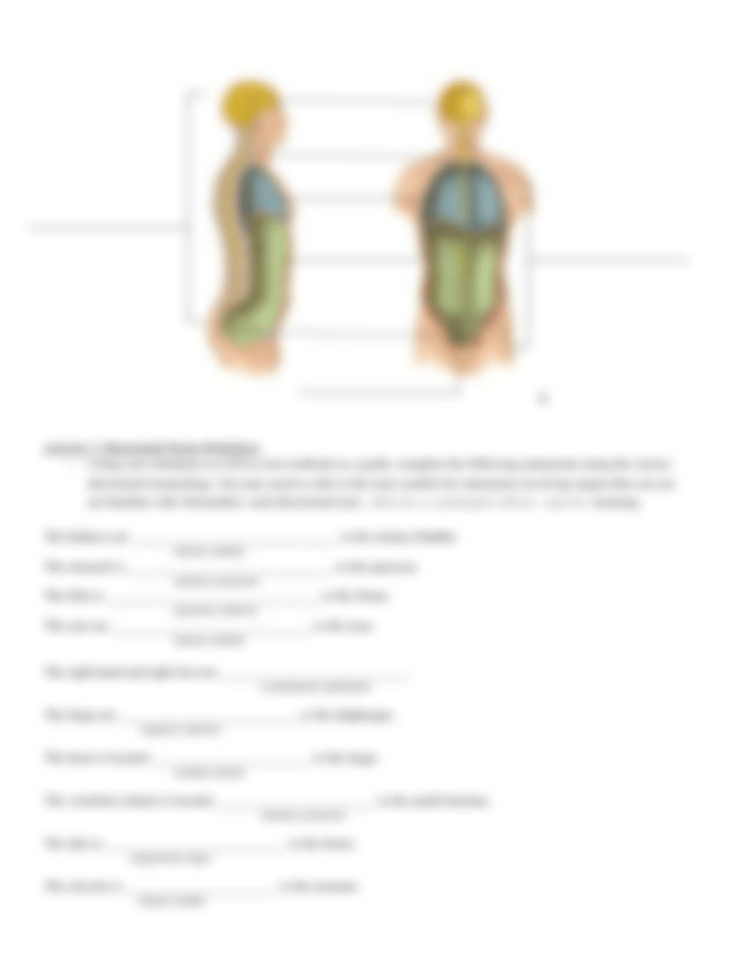 Anatomial Terminology Lab (1).docx_d7486lnrjvg_page3