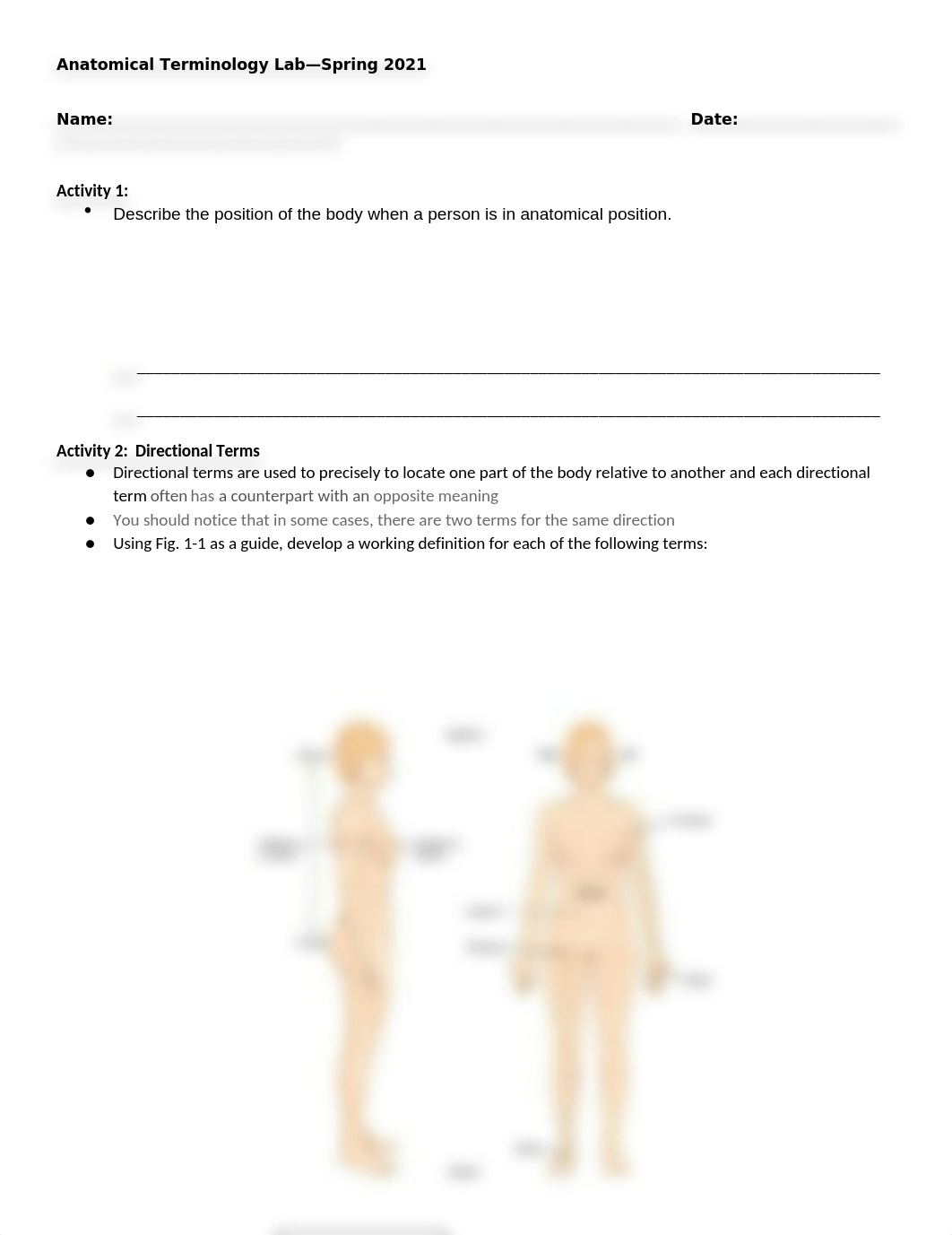 Anatomial Terminology Lab (1).docx_d7486lnrjvg_page1