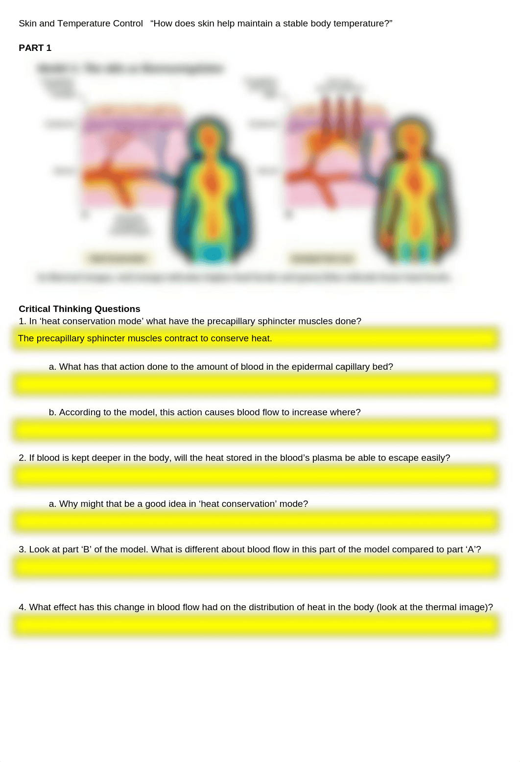 Diana_Blanco_-_Skin_and_Temperature_Control___How_does_skin_help_maintain_a_stable_body_temperature_d749i1n72l3_page1