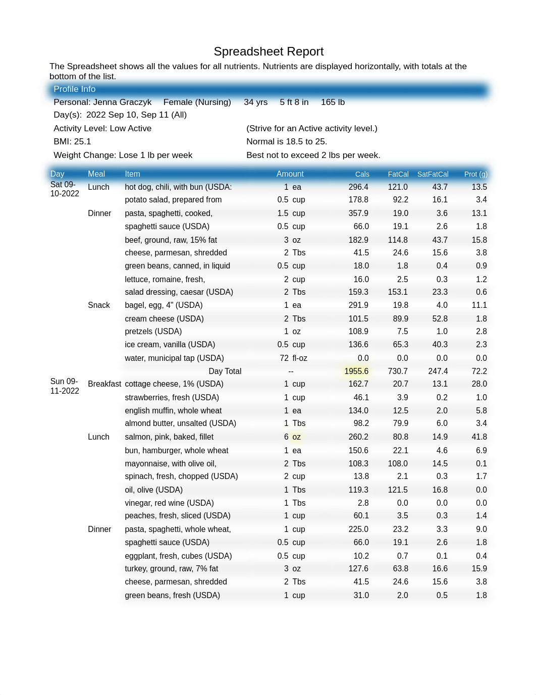 Jenna Graczyk Spreadsheet Report.pdf_d74nbiuo3id_page1