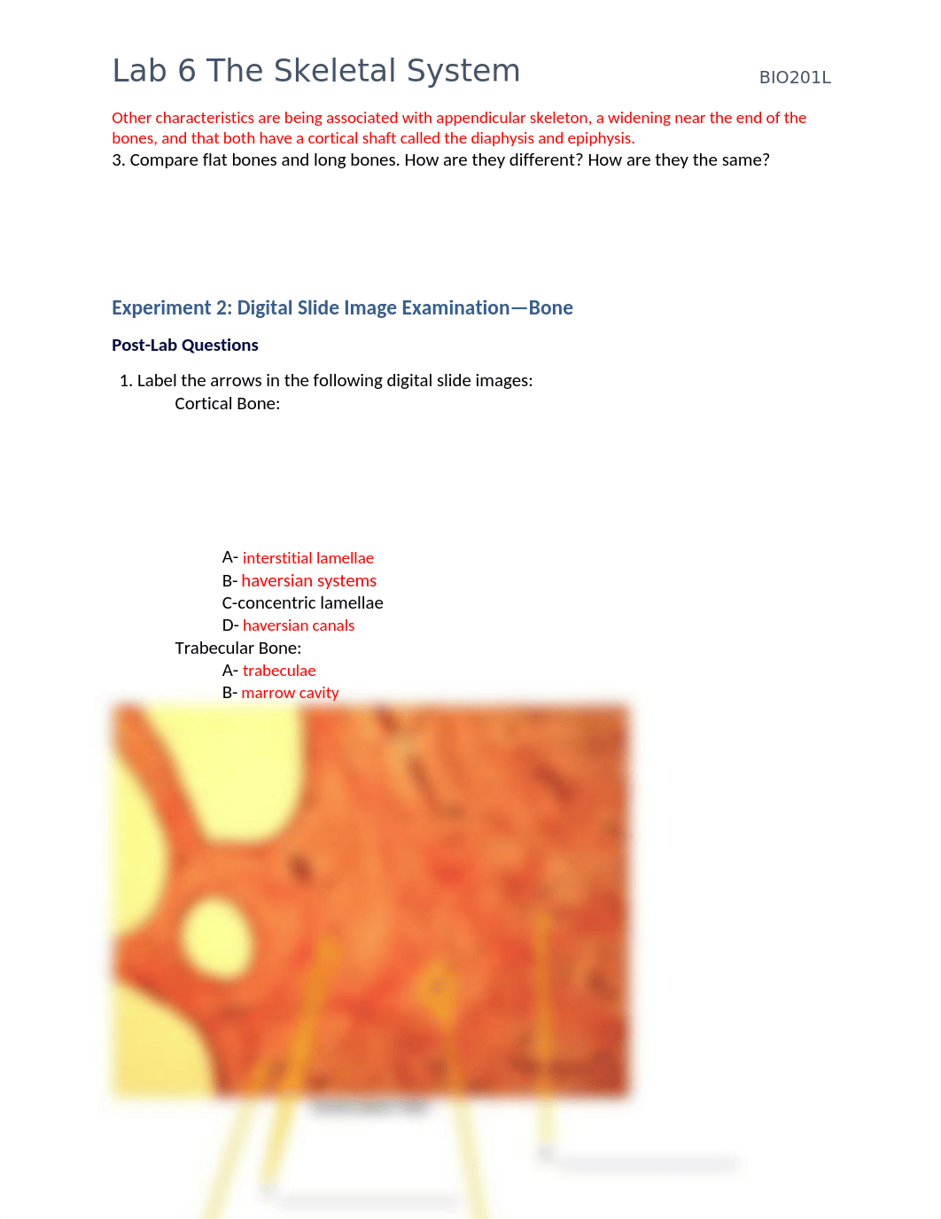 Lab6.docx_d74o3iapjy5_page2